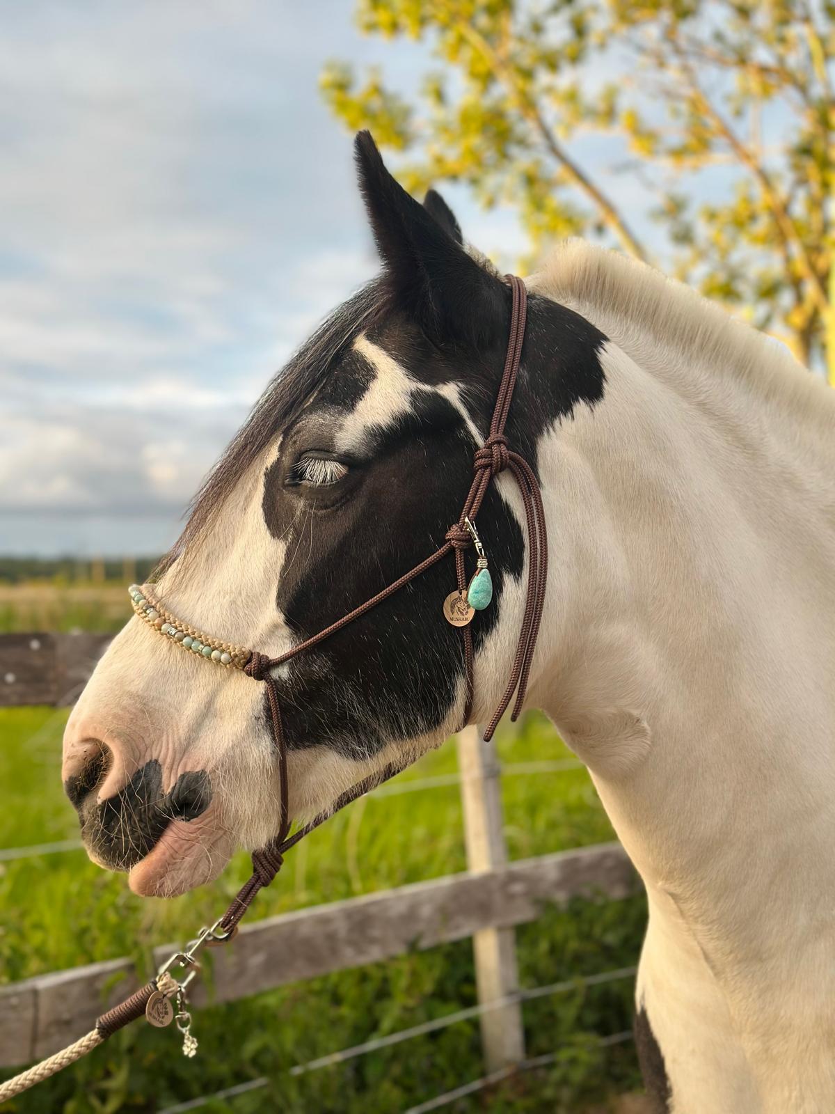Touwhalster 'Crystal Deluxe - Amazoniet Multi'